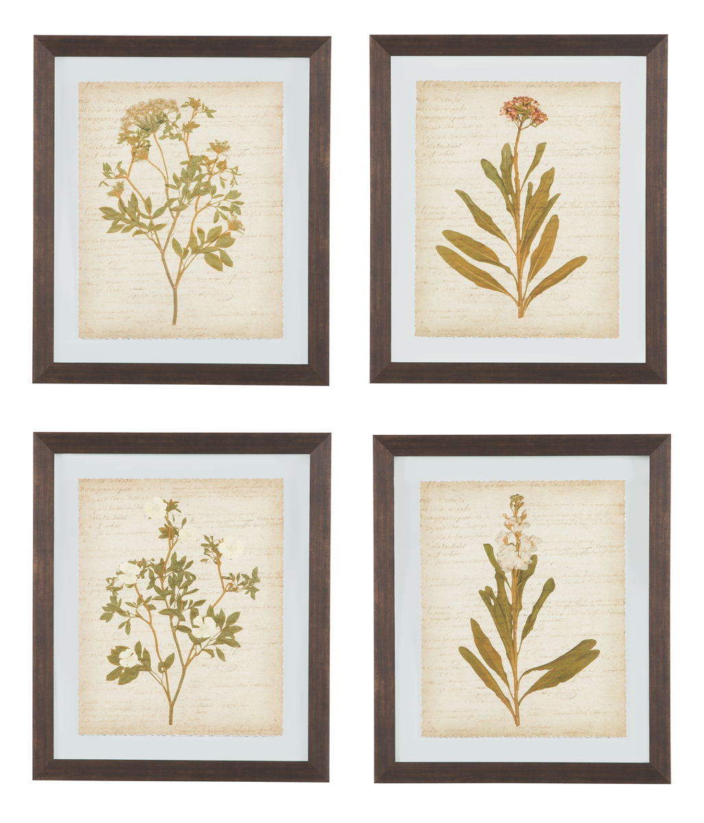 Dyani – Brown – Wall Art Set (Set of 4)
