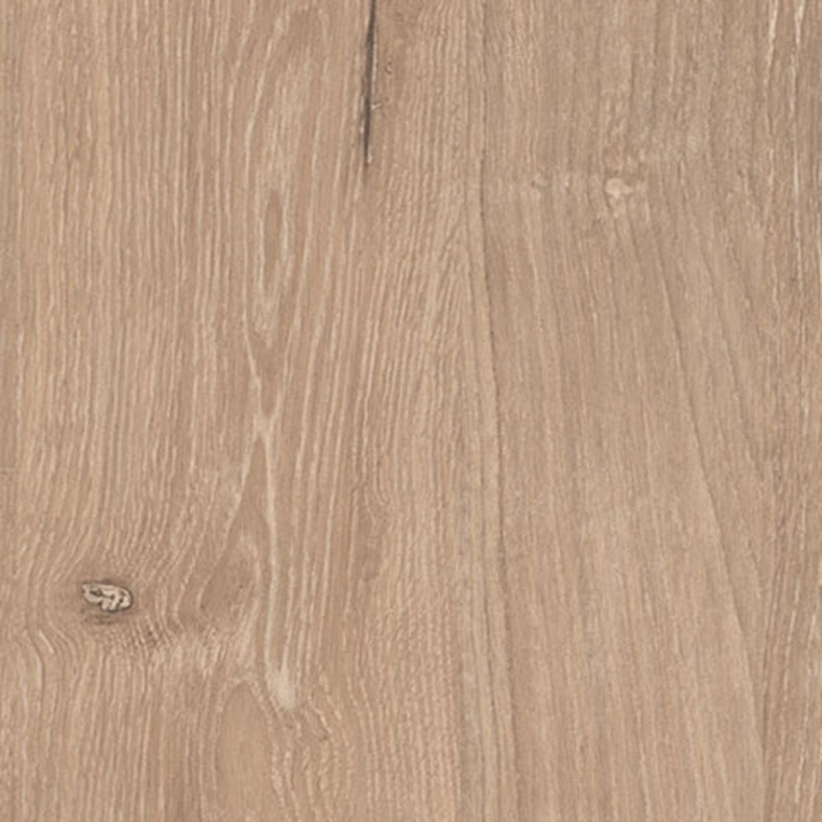 d2cf9a7e-f835-4b3c-9af4-43bb584da088